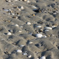 /album/mer/frida-dumont-img-3749-jpg1/